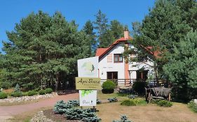 Agro Breza dom z kominkiem 80 metrów od jeziora - sauna, balia ogrodowa